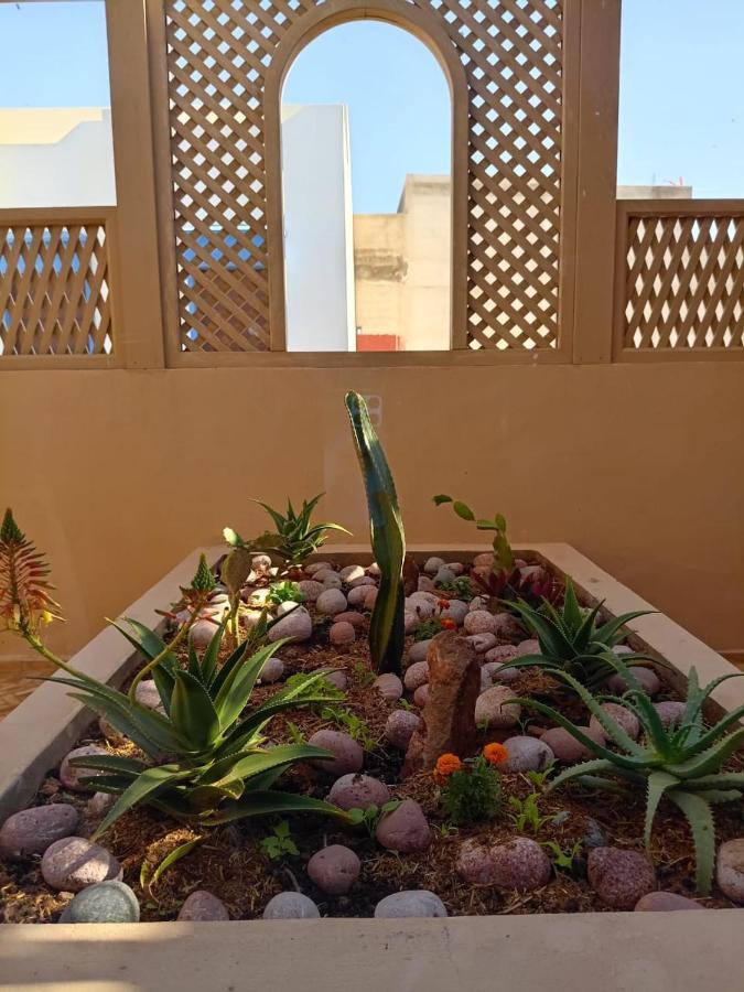 Dar Diafa Samira Apartment Mirleft Exterior photo
